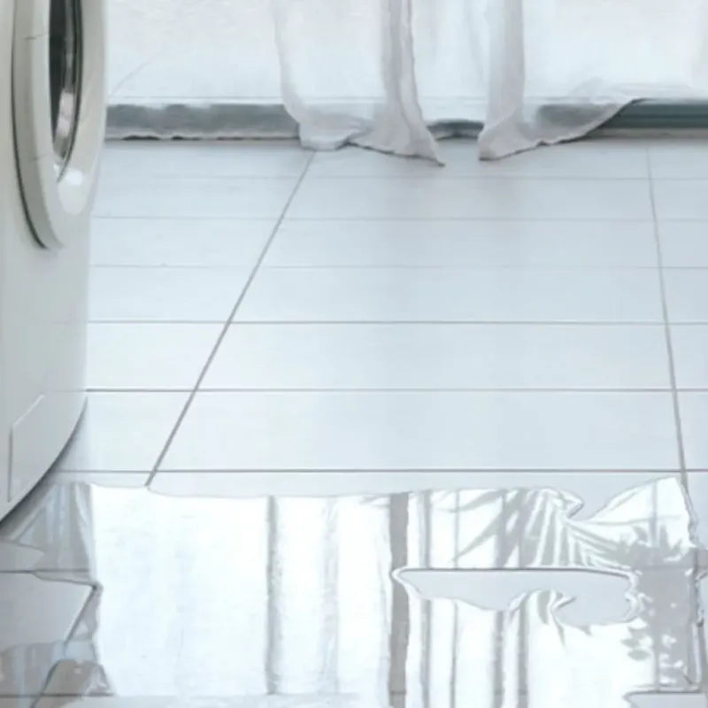 Appliance Leak Cleanup in Mangonia Park, FL
